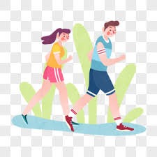 F1澳大利亚站：维斯塔潘杆位夺冠